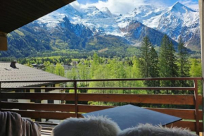Charming T3 with terrace in Chamonix